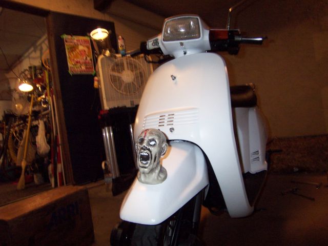 100_5000.jpg