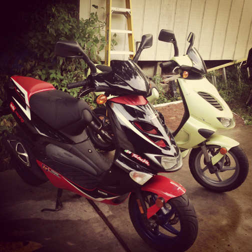 pair2.jpg