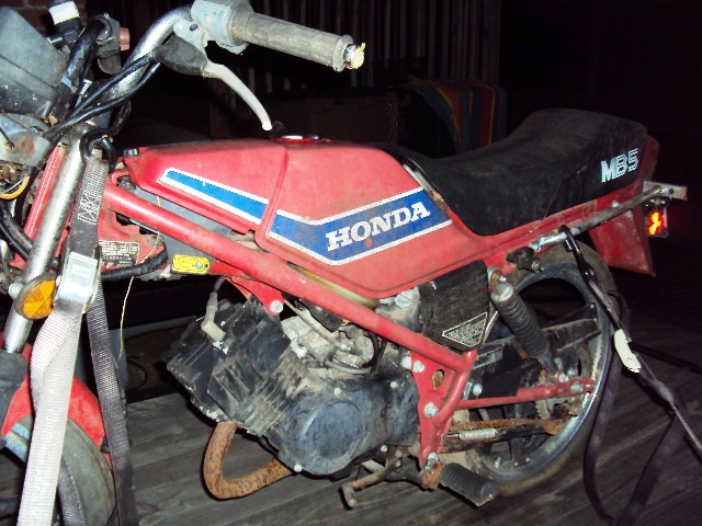 MB5 and squirrel 013.JPG