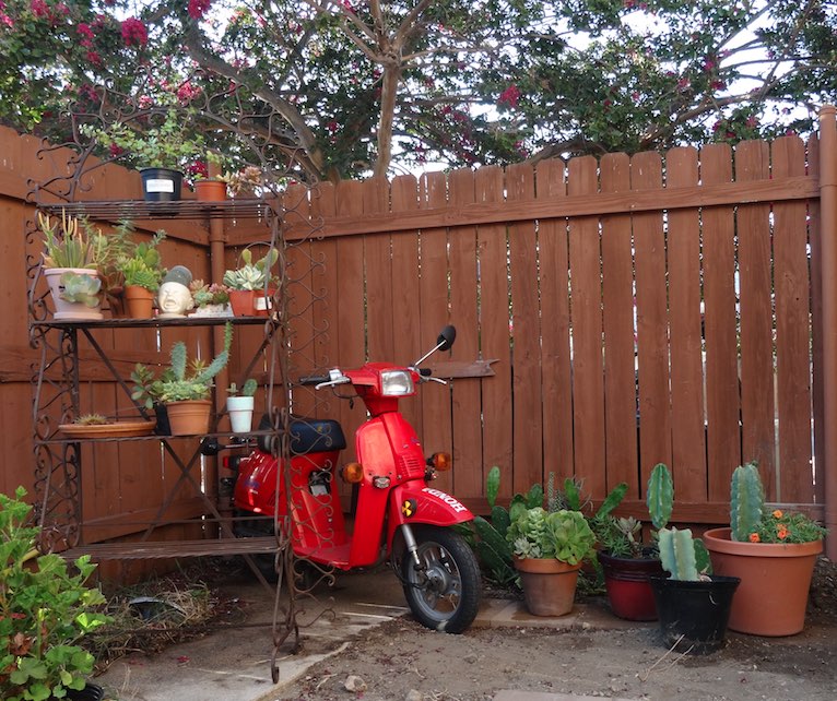 scoot 2.jpg