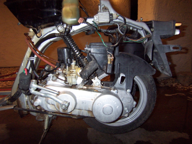 100_7074.jpg