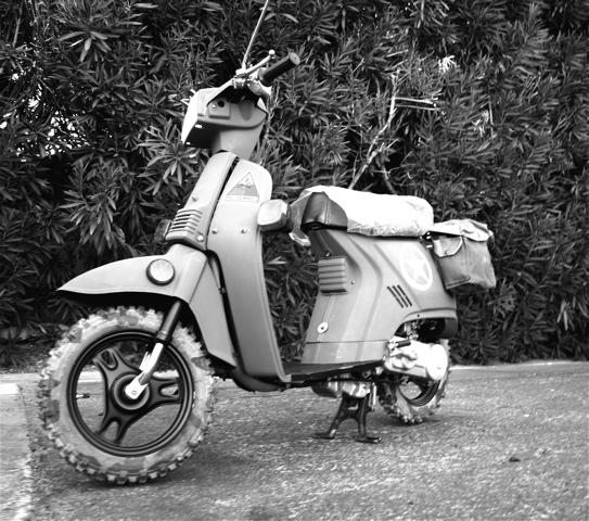 B&W_7117.jpg