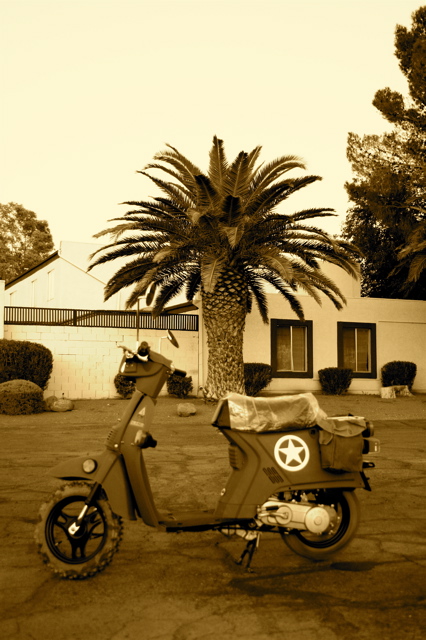 B&W7133_1.jpg