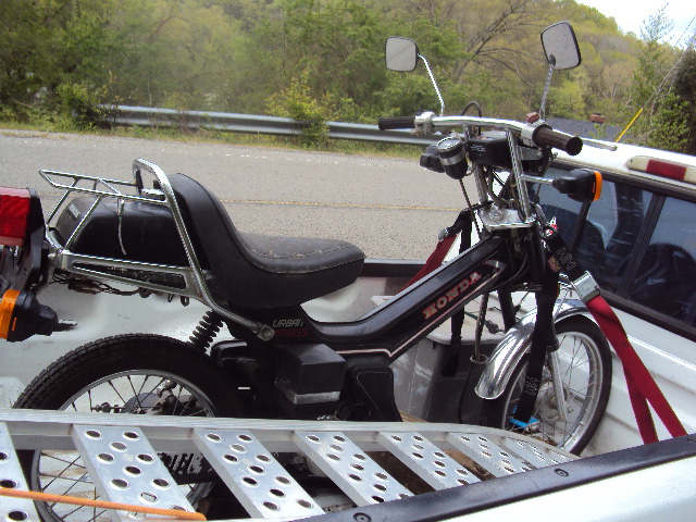 cars-wysteria-urban 020.JPG