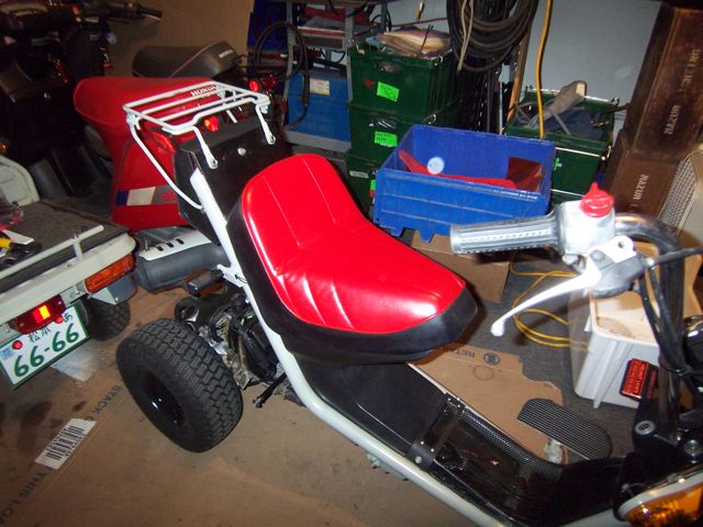 100_9745.jpg