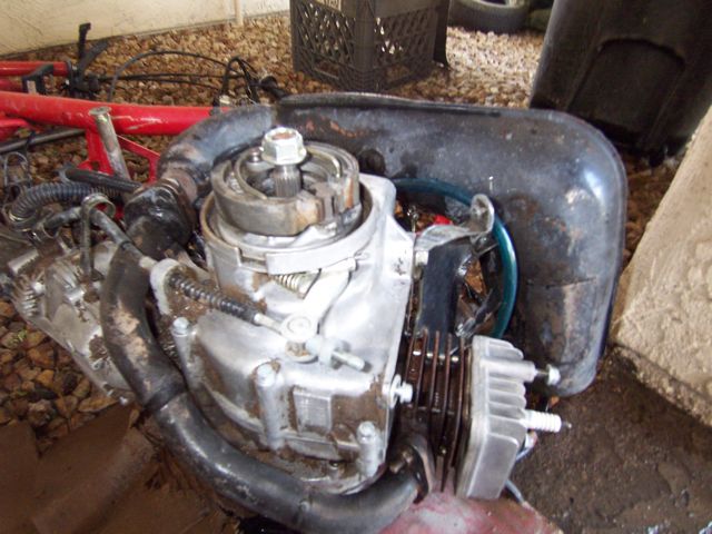 100_9796.jpg