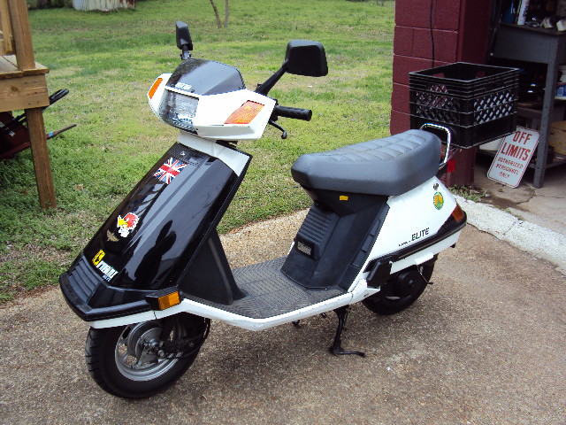 BEFORE SOCCER TRIM...DEC 2011