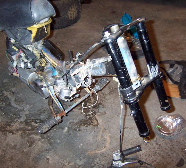 I tried  the gyro forks on the express ...it fits