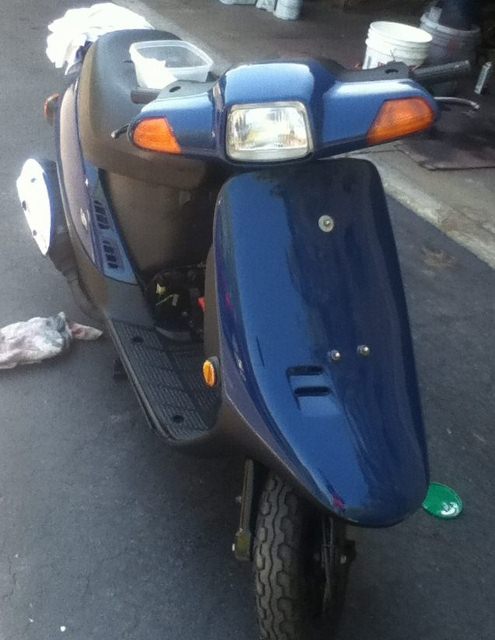 IMG_2395 (495x640).jpg