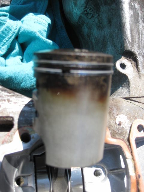 IMG_0825 (480x640).jpg