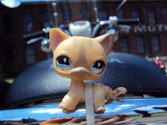 Scooter Rally 6-2-12 028.JPG