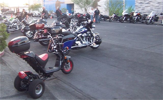 Born to be wild ... I should be dead right now .