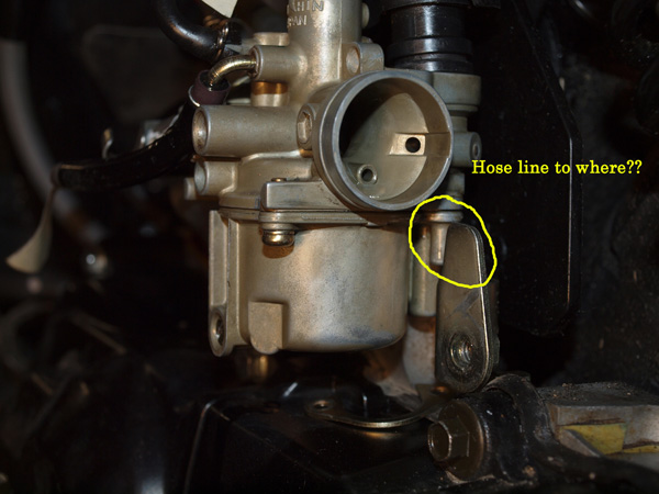 adjusted back side 1 good with words 600.jpg