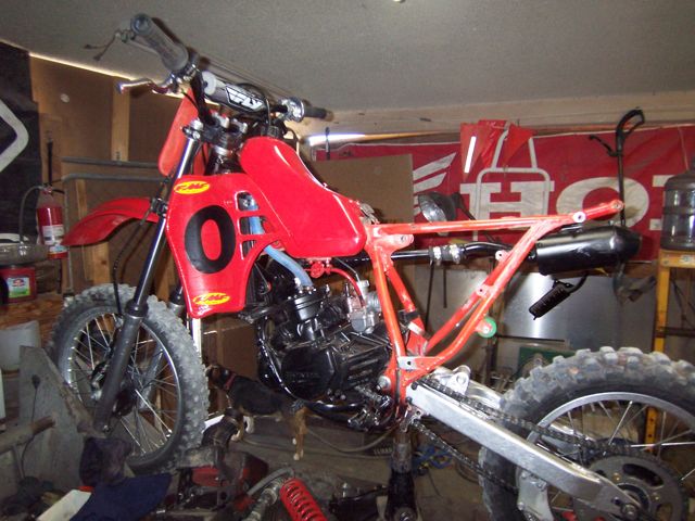 re-doing the shock  at the scoot junk yard