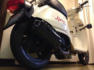 Model shots, because why not?