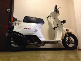 Model shots, because why not?